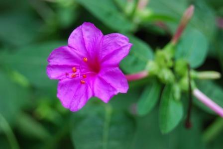 各风水师的故事